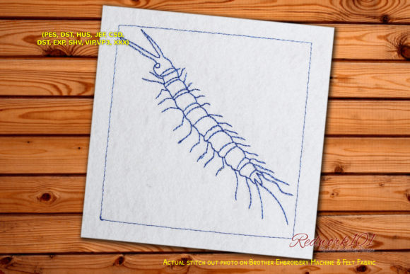 Centipede Worm Redwork Design Review