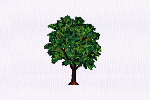 Evergreen Tree Design Review for Apparel Projects